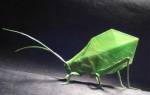 origami-bug